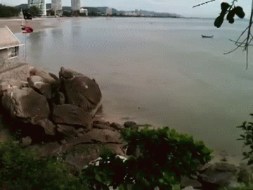 悬崖 猴子 跳水