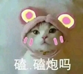 猫咪 卡通 大眼睛 磕磕炮吗