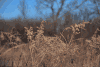 景观 landscape nature 自然