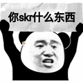 skr 东西