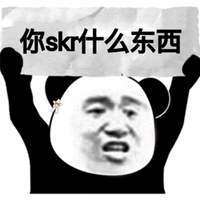 skr 东西 熊猫头 搞怪 逗