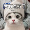 萌宠 猫星人 我有点方了 无奈 呆萌 可爱