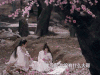 三生三世十里桃花 soogif soogif出品 电视剧