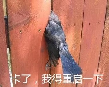 搞笑 蠢萌 魔性 逗比 沙雕