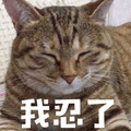 猫 我忍了