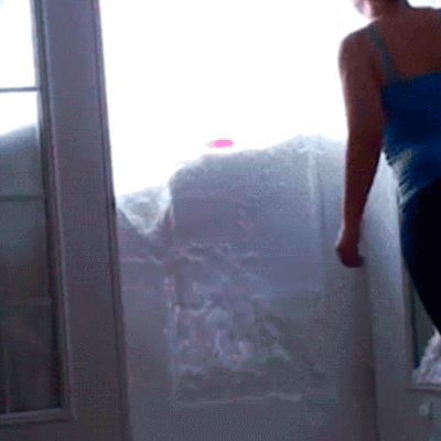 汪星人 可爱 萌宠 狗狗 二哈