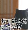 我可能 我可能上的是假学校 宋民国