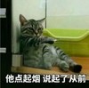 萌宠 喵星人 他点起烟 说起了从前 搞怪 逗