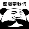 暴漫 你能奈我何 熊猫头 搞怪