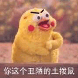 丑陋 土撥鼠