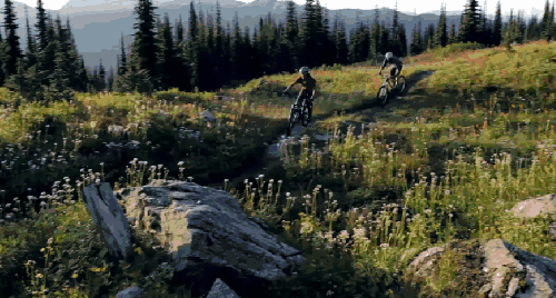 加拿大不列颠哥伦比亚省风光 旅游 森林 纪录片 自行车 花朵 赛车手 野外