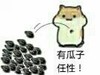 有瓜子任性 卖萌 可爱 松鼠