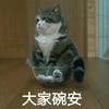萌宠 猫星人 大家晚安 睡了 呆萌 可爱
