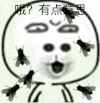 恶搞 逗比 苍蝇 哦 有点意思