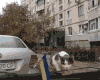 小猫 汽车 跳跃 可爱