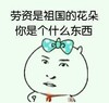 金馆长 蝴蝶结 搞笑 劳资是祖国的花朵你是个什么东西
