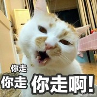 猫咪 呆萌 喵叫 你走你走啊