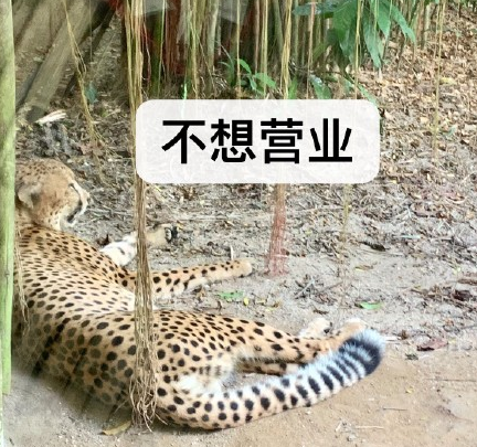 动物园 搞笑 魔性 萌宠 文字表情包