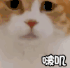 萌宠 喵星人 啵叽 亲亲 可爱 亲热