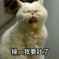 猫 喵星人 萌宠 操，我要吐了