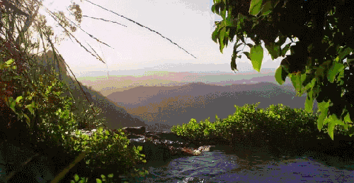 丛林 地球脉动 纪录片 舒适 阳光 风景
