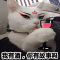 萌宠 猫咪 猫 喵星人 我有酒 你有故事吗 搞怪