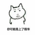 你可能是上了假车 狗狗 卡通 搞笑