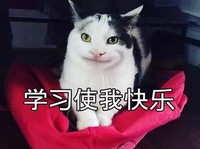 萌宠 猫星人 学习使我快乐 开心 呆萌 可爱