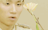 鲜花 迷人 姜大声 DAESUNG