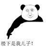 暴漫 熊猫头 楼下是我儿子 搞笑 魔性 沙雕