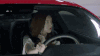 美女 长发 开车 看旁边
