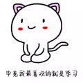 我爱学习 小猫 可爱 毕竟我最喜欢的就是学习