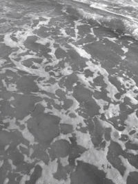海洋 ocean nature