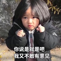 你说是就是吧 小女孩 权律二 可爱 拳头