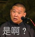 郭德纲 喜剧演员 是啊 斗图