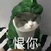 萌宠 猫星人 恨你 生气 呆萌 可爱