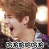 鹿晗 帅气 搞笑 可爱 哈哈哈哈哈