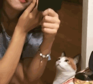 搞笑 逗比 有趣 厉害
