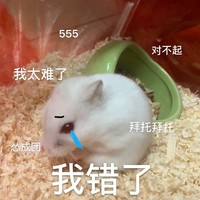 竹鼠 可爱 萌宠 搞怪 文字表情包