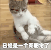 死肥宅