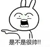 兔子 生气 发火 是不是很帅