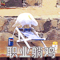萌宠 鹦鹉 鸟 吃鸡 职业躺鸡 soogif soogif出品