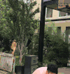 董子健 脑门贴纸 篮球 健身