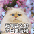 猫 喵星人 萌宠 天气这么好 不出来玩儿吗 撩 soogif soogif出品