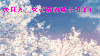 四月时光