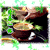 茶杯 清新 清茶一杯 好喝