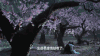 三生三世十里桃花