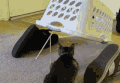猫咪 调皮 可爱 玩耍 喵星人