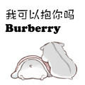 灰仓鼠 这首歌有点贵 抱抱 我可以抱你吗burberry