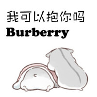 灰仓鼠 这首歌有点贵 抱抱 我可以抱你吗burberry